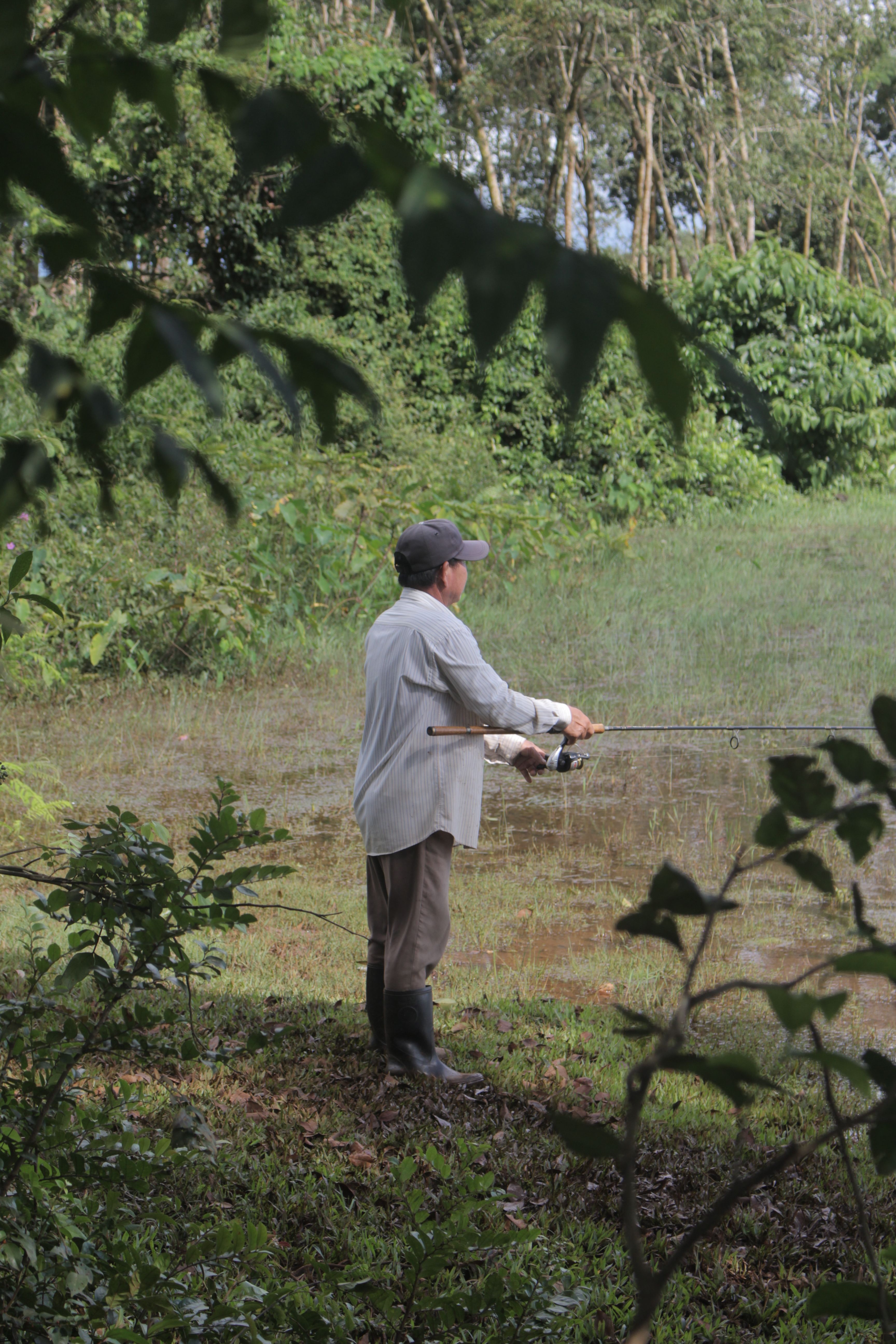 Angler fishing on a peaceful forest lake