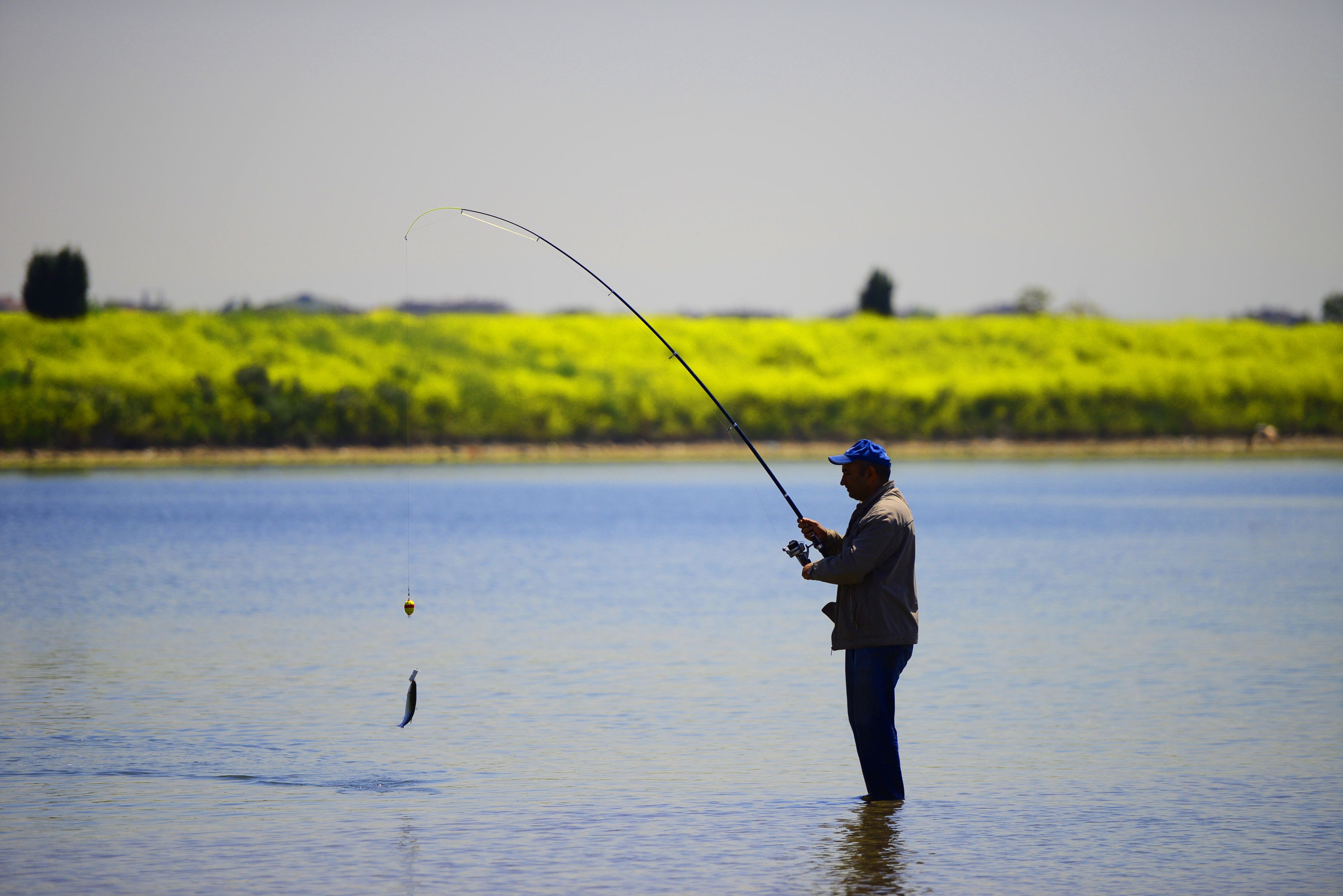 Person fishing in a bright summer river