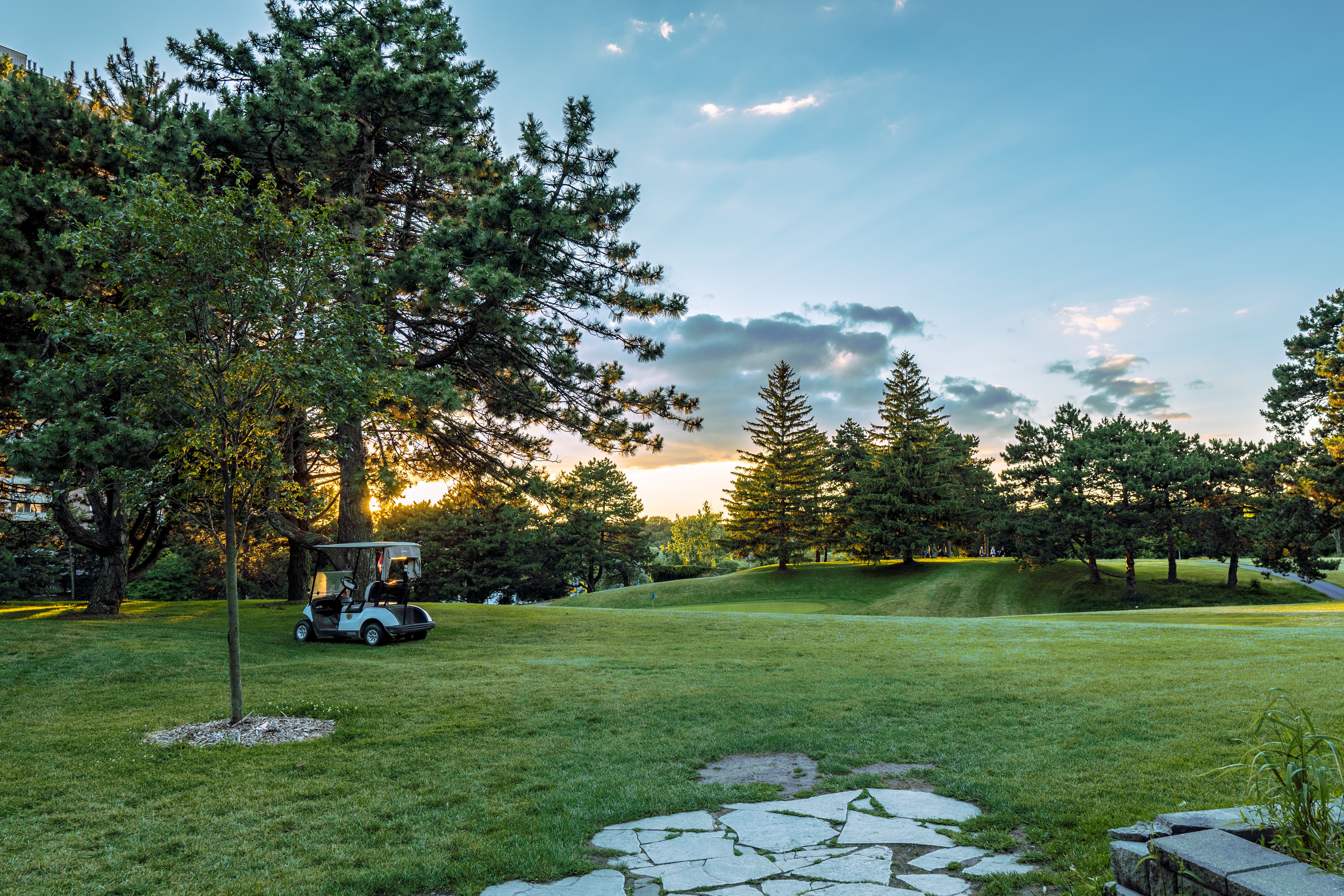 Golf cart on a lush course at sunset